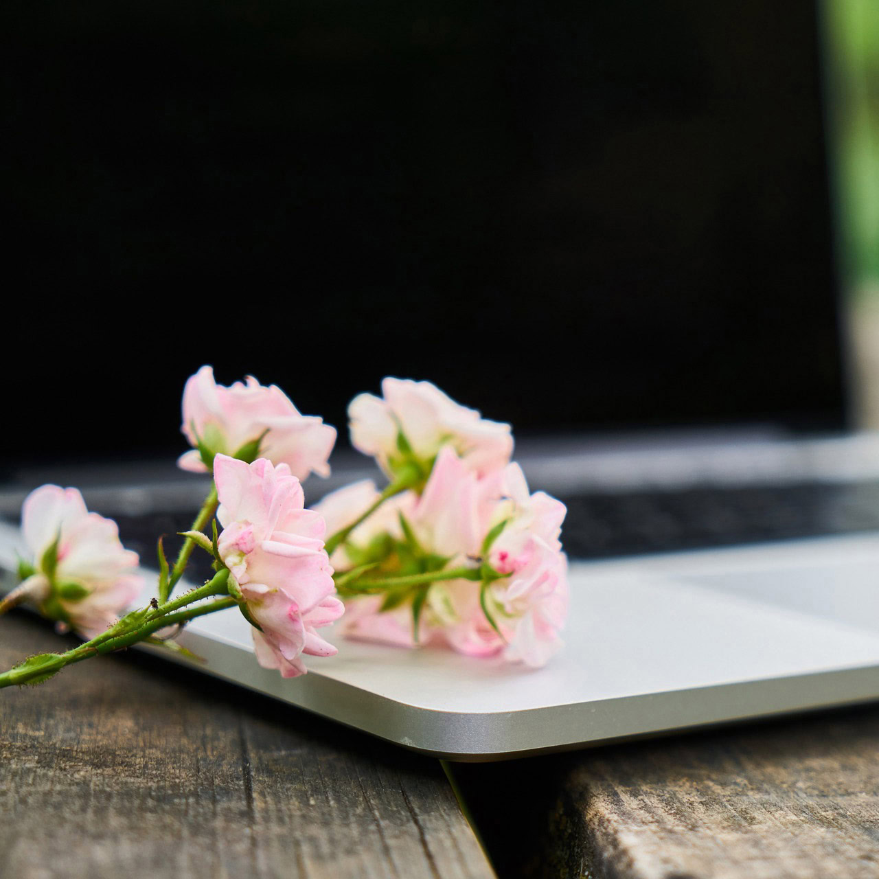 Bach-flower Basic Course