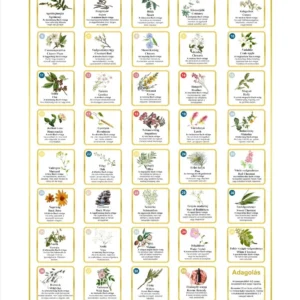 Bach-flower poster 32*45 cm