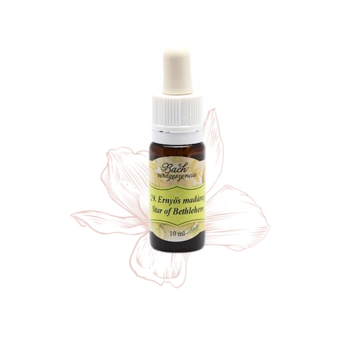 29. Star of bethlehem flower essence