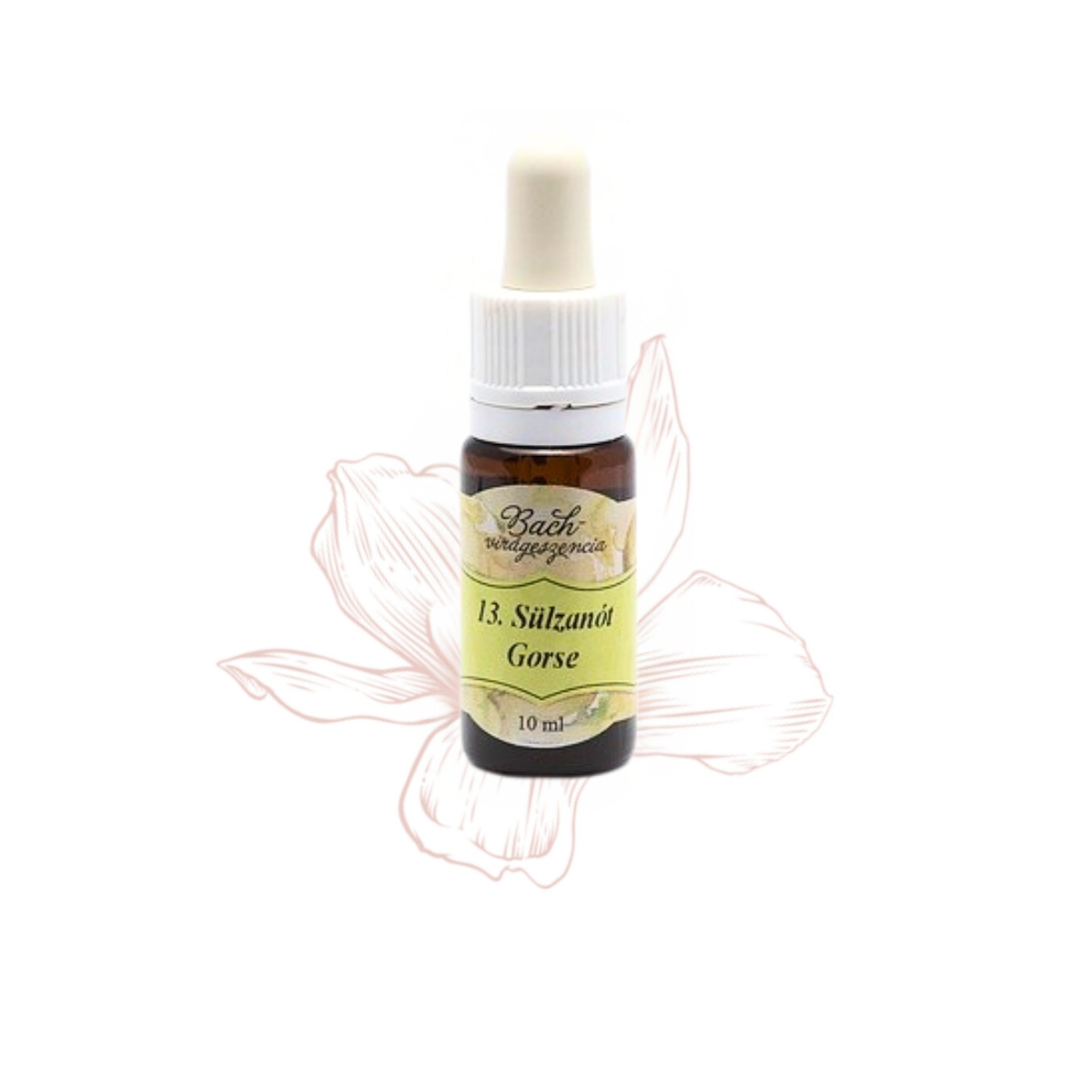 13. Gorse flower essence