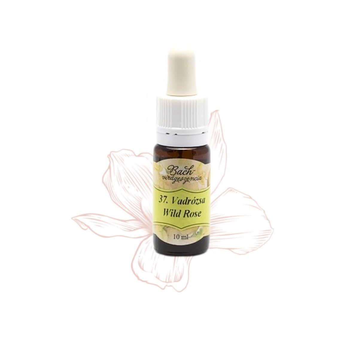 37. Wild rose flower essences