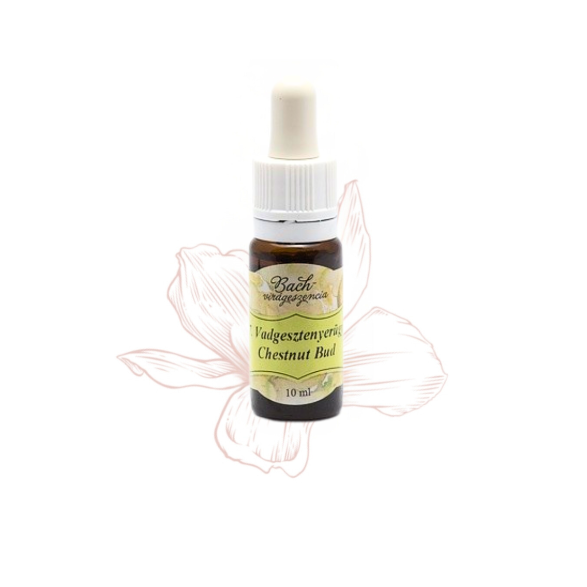 7. Chestnut bud flower essence